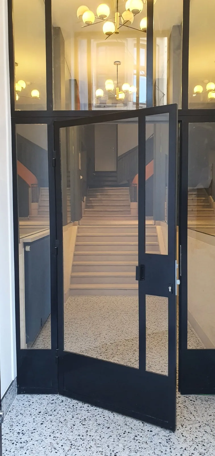Porte commerciale en acier noir avec vitrage, porte professionnelle